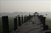 After Sunrise at U Bein Teak Bridge, Burma: by miephotography, Views[860]