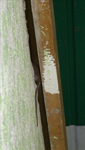 by miguel_rubi, Views[152]