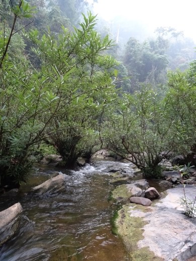 nuestra fuente de agua