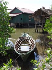 by miguel_rubi, Views[223]