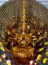 by miguel_rubi, Views[279]