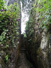 by miguel_rubi, Views[413]