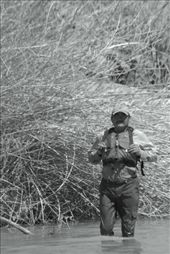 by miguelgrageda, Views[139]