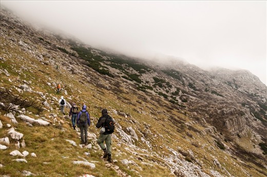 Weather on Dinara montain is very changeable. So we have in one day experienced thunder storm, sun and storm winds. Biology  NGO - BIUS is organized in sections. Each section deals with research of particular groups of organisms. So we have a section for spiders, beetles, reptiles, plants, fungi mammals, birds, etc. Every day sections go to different sites in the area we are reserching. To the peak of Croatia I was going with Herpetological section.