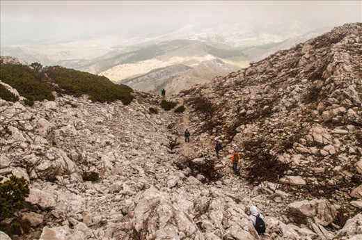 A mountain house is on alttitude of a 1000 m and the highest peak of Croatian is on 1831 m. Hiking from mountain lodge to the top and back, and collecting biological data at different alttitudes for Herpetological section lasted for 6h. Dinara is the karst area and the climbing and descent was quite tricky because the rocks in some parts quite loose and break easily. So we had to be very careful where you step and which rocks to catch.