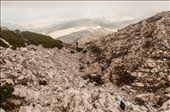 A mountain house is on alttitude of a 1000 m and the highest peak of Croatian is on 1831 m. Hiking from mountain lodge to the top and back, and collecting biological data at different alttitudes for Herpetological section lasted for 6h. Dinara is the karst area and the climbing and descent was quite tricky because the rocks in some parts quite loose and break easily. So we had to be very careful where you step and which rocks to catch.: by mihael_draksic, Views[484]