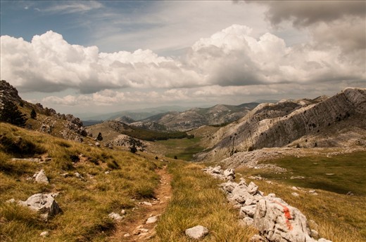 We were slowly returning to mountain house. We got the easiest part of the journey across the meadows and through the woods. Upon returning to mountain home I was in charge of cooking dinner. Is not an easy task to cook dinner for over 100 people. After dinner, while other members were resting and mingle, the leaders of sections were doing plan for the next day. Tomorrow was a new day, full of exploration, strange animals and amazing landscapes to photograph.
