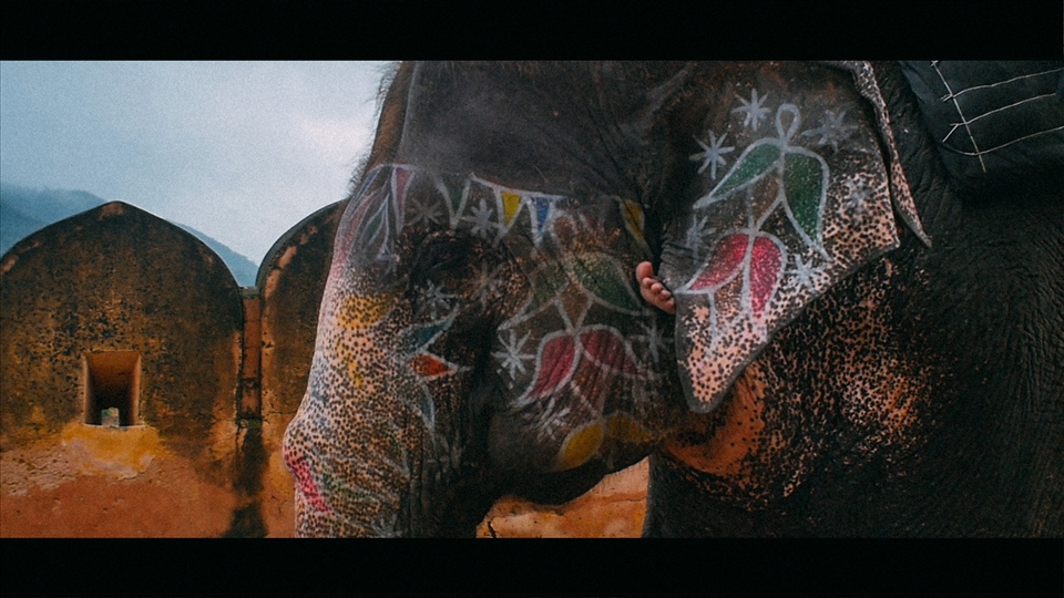 Decorated elephant at  Amber Fort