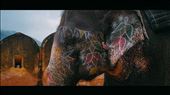 Decorated elephant at  Amber Fort: by mik3bak3r, Views[312]