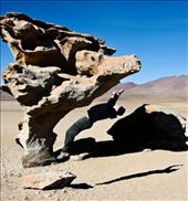 by mikelibis, Views[279]