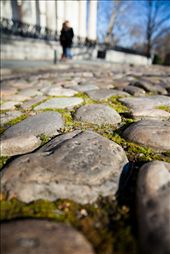 Chestnut St & 4th St. South: Second Bank of the United States.
Great architecture was in abundance. I didn’t expect to see Greek columns supporting an American bank. The weathered cobblestone road got a quiet laugh as I watched a woman attempt to walk the now pedestrian stones in her “pumps”. She quickly fled to the consistency of the concrete sidewalk.
: by mikephang, Views[614]