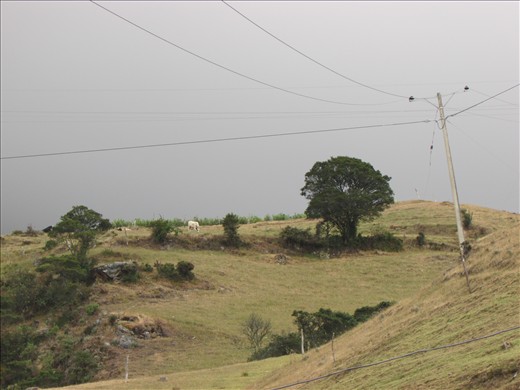 Typical landscape in the highlands of Santander, Colombia. With mountain ranges towering 14,000 feet, the inhabitants of the Santanderes have learned how to adapt to the diffucult geography of the region. Notwithsatanding this considerable altitude, roots and other tubercles have been harvested here for centuries.