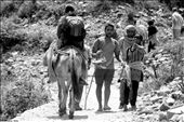 The Holy Journey.  Happy faces on reaching back at starting of 38kms Trek.: by mindframe, Views[295]
