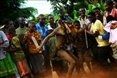 The Nhau is a dance of Tete in the north of Mozambique, UNESCO world heritage: by mindfullens, Views[981]