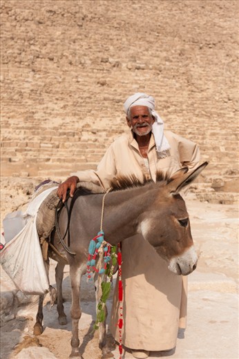 A man and his donkey sell water at the base of the Pyramid of Khufu in Giza.