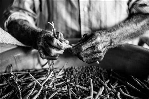 My grandfather Francisco that although blind not forget that a man is his work