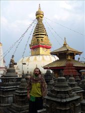 by mirandita, Views[313]