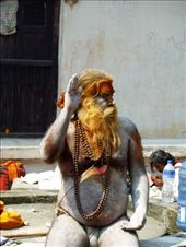 by mirandita, Views[317]