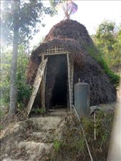 by mirandita, Views[372]