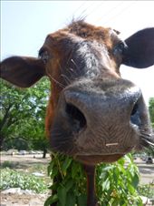 by mirandita, Views[219]