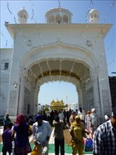 by mirandita, Views[268]