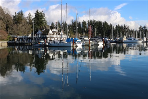 What a beautiful day to cycle Stanley Park! I would do this again and again. For more easterly Canadians.... this photo was taken January 10, 2018.