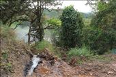 by mirlingabroad, Views[494]