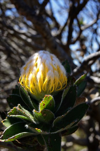 seeing beauty in simple things