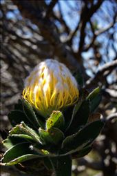 seeing beauty in simple things: by mish2202, Views[292]