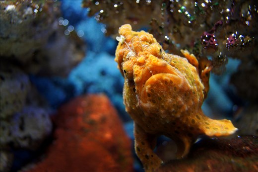 Looking into the eyes of the other natives