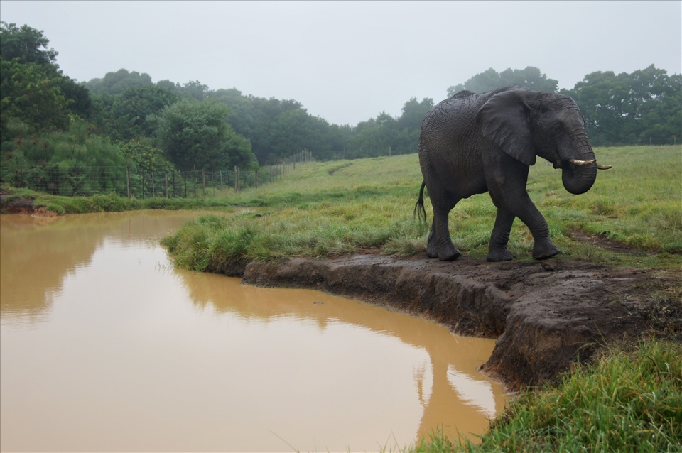 seeing beauty in all things magestic