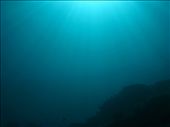 Mysteries of the sea.

This was my first time scuba diving and it opened up an amazing world of what used to be dark and mysterious. : by mishc, Views[380]
