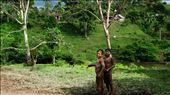 Jungle: by mismundos, Views[159]