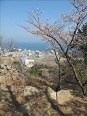 by miss_traveller, Views[441]