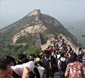 by miss_traveller, Views[364]