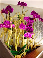 by missbliss, Views[126]