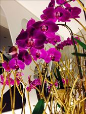 by missbliss, Views[130]