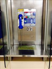 by missbliss, Views[114]