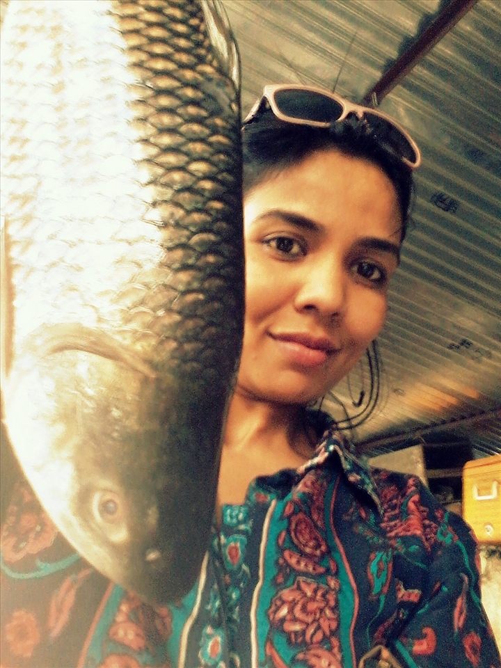 Catla bengali fresh water fish @versova fish market: Mumbai