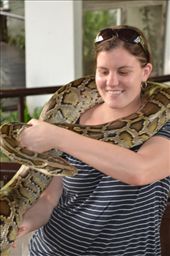 by mitann, Views[312]