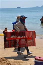 by mitann, Views[271]