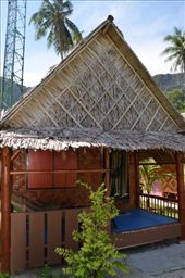 by mitann, Views[315]