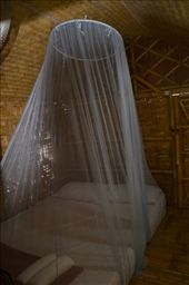 by mitann, Views[193]