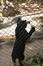 by mitann, Views[324]