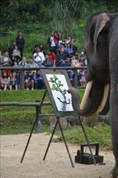 by mitann, Views[343]