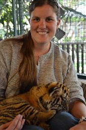 by mitann, Views[331]