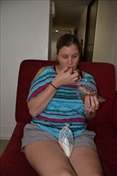 by mitann, Views[434]