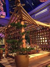 by mitann, Views[364]