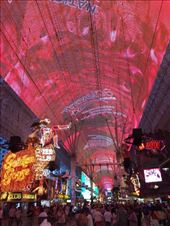 by mitann, Views[220]