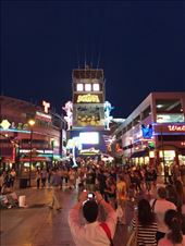 by mitann, Views[235]